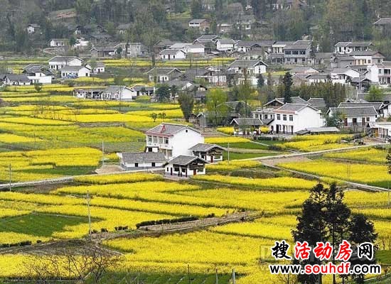 青川鋼結構房屋