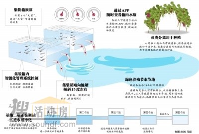 集裝箱做養魚池